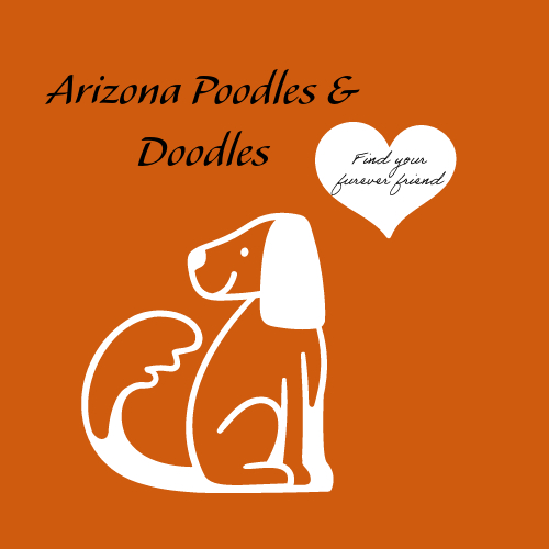 Arizona Poodles & Doodles